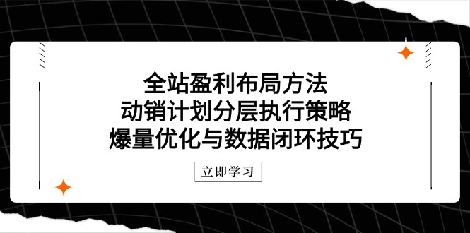 全站盈利布局方法:动销计划分层执行策略,爆量优化与数据闭环技巧-创业猫 全站盈利布局方法:动销计划分层执行策略,爆量优化与数据闭环技巧-创业猫