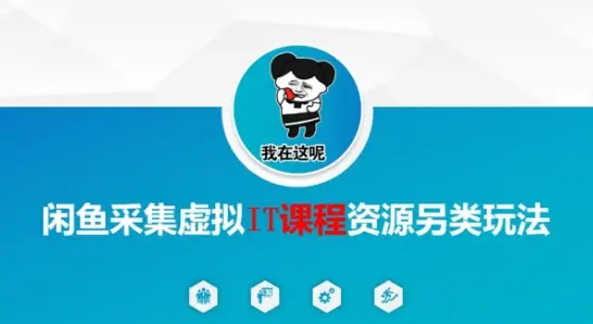 闲鱼采集虚拟IT课程资源另类玩法,干货满满-创业猫 闲鱼采集虚拟IT课程资源另类玩法,干货满满-创业猫