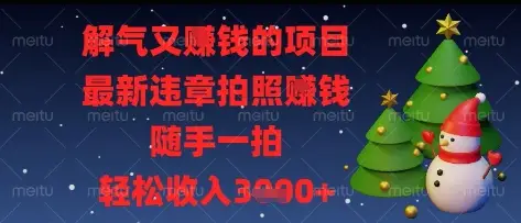 解气又挣钱的项目，最新违章拍照挣钱，随手一拍，轻松收入多张【揭秘】-项目资料商城