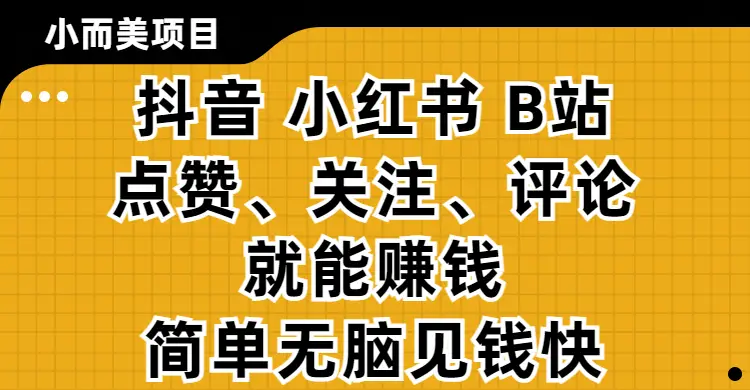 小而美的项目，抖音、小红书、B站视频点赞、关注、评论就能赚钱，简单无脑立见收益!妥妥的零撸项目-项目资料商城