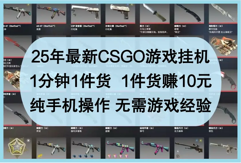 25年最新CSGO游戏挂机，1分钟1件货，1件货赚10元，纯手机操作，无需游戏经验-项目资料商城