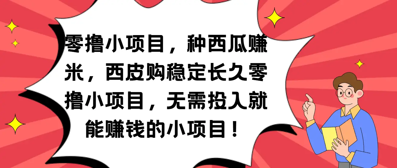 种西瓜赚米，西皮购稳定长久零撸小项目-项目资料商城
