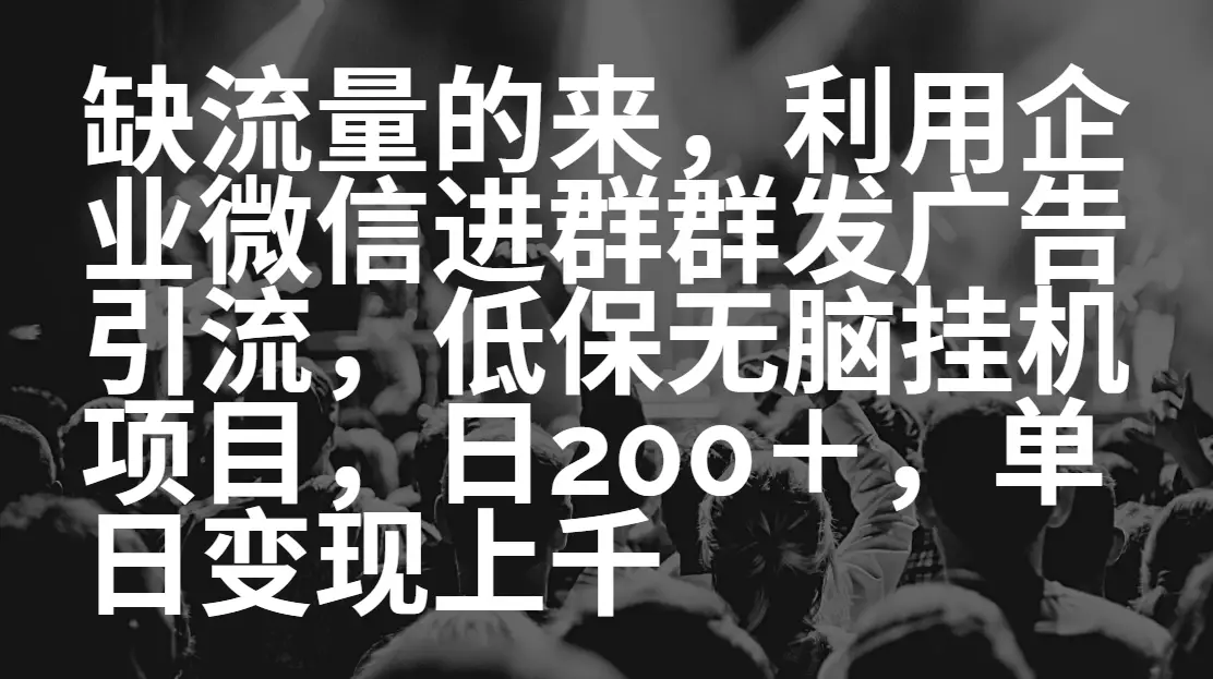 缺流量的来，低保无脑挂机项目，日引200➕，单日变现上千-项目资料商城