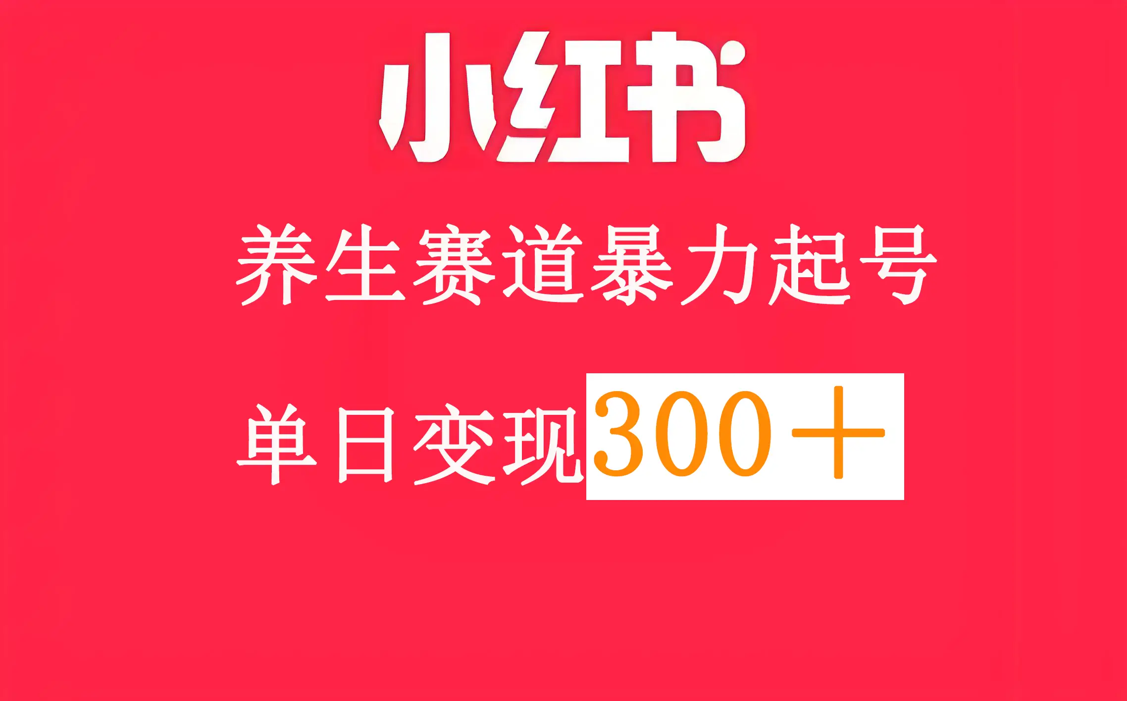 小红书养生赛道-项目资料商城