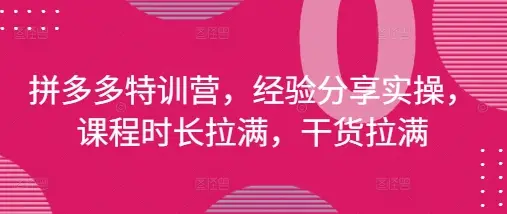 拼多多特训营，经验分享实操，课程时长拉满，干货拉满(更新25年4月)-项目资料商城