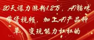 20天爆力涨粉1.2万，AI猫咪带货视频，加上AI产品种草，变现能力杠杠的-项目资料商城