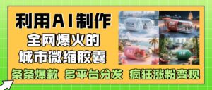 利用AI制作全网爆火的城市微缩胶囊，条条爆款， 多平台分发，疯狂涨粉变现-项目资料商城