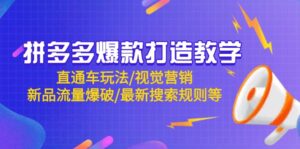 拼多多爆款打造教学：直通车玩法/视觉营销/新品流量爆破/最新搜索规则等-项目资料商城