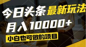 今日头条最新风口,视频掘金,小白也可月入过万,可以矩阵操作-项目资料商城