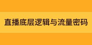 直播底层逻辑与流量密码：定位模型+案例拆解，急速流承接与数据优化全攻略-项目资料商城