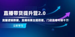 直播带货提升营2.0：流量逻辑数据，直播场景主题搭建，门店直播年销千万-项目资料商城
