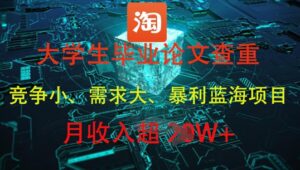 大学生毕业论文查重，暴利蓝海项目，月收入过1W+-项目资料商城