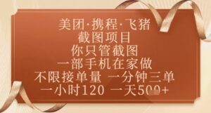 飞猪美团截图项目，你只管截图，一部手机在家做，正规平台无套路，一天5张+【揭秘】-项目资料商城