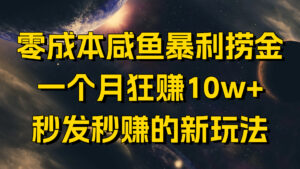 零成本咸鱼暴利捞金，一个月狂赚10w+，秒发秒赚的新玩法-项目资料商城