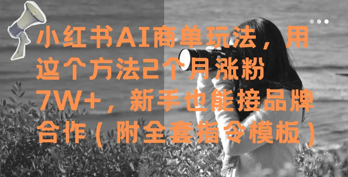 小红书AI商单玩法，用这个方法2个月涨粉7W+，新手也能接品牌合作（附全套指令模板）-项目资料商城