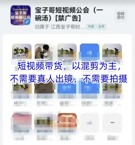 宝子哥头部团队短视频带货，以混剪为主，不需要真人出镜，不需要拍摄【更新】-项目资料商城