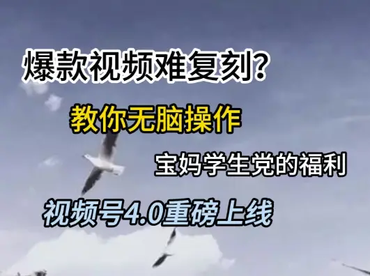 视频号4.0重磅上线，爆款视频难复刻？教你无脑操作宝妈学生党的福利【揭秘】-项目资料商城