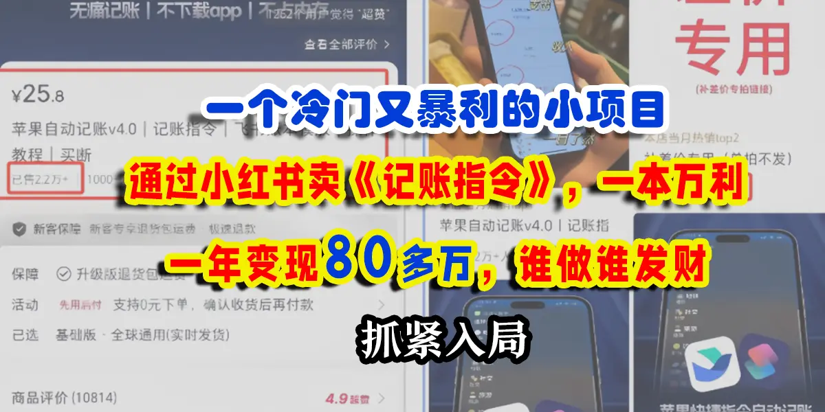 一个冷门又暴利的小项目，通过小红书卖记账指令，一本万利，一年变现80多个，谁做谁发财-项目资料商城
