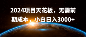 2024项目天花板，无需前期成本，小白日入3000+-项目资料商城
