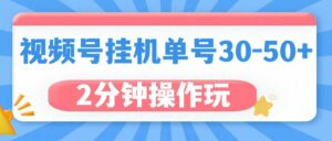 视频号无脑挂机，单号30-50+，可批量放大-项目资料商城