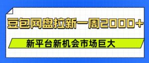 豆包网盘拉新，一周2000+新平台新机会-项目资料商城