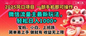 2025蓝海风口项目，微信流量主最新玩法，轻松日入1000+，简单易上手，做就有 收益无上限-项目资料商城