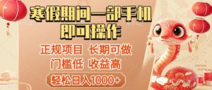 寒假期间一部手机即可操作，轻松日入1000+，小白，宝妈，上班族一天就能上手-项目资料商城