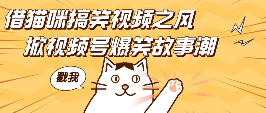 借猫咪搞笑视频之风，掀视频号爆笑故事潮，轻松日赚四位数，开启无门槛赚钱新体验！-项目资料商城