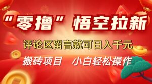 “零撸”悟空拉新玩法，评论区留言就可日入千元-项目资料商城