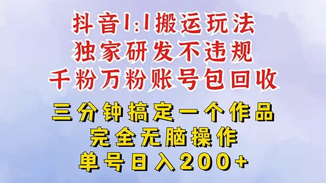 2025抖音无脑纯搬运玩法，单号日赚300+-项目资料商城