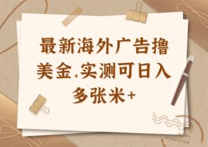 最新海外广告联盟懒人挂机撸美金项目，实测可日入多张米+-项目资料商城