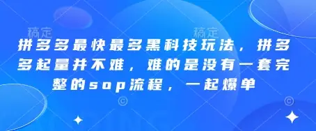 拼多多最快最多黑科技玩法，拼多多起量并不难，难的是没有一套完整的sop流程，一起爆单(更新6月)-项目资料商城