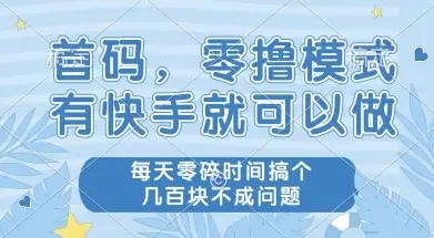 首码零撸项目，有快手就可以做，每天业务时间搞个几张不是问题【揭秘】-项目资料商城