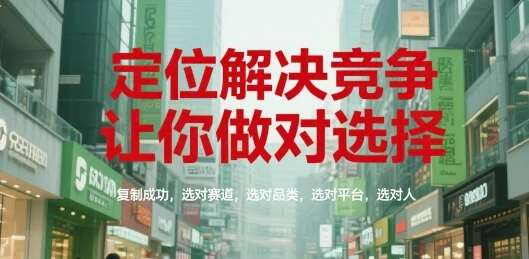 【精】定位解决竞争，让你做对选择，复制成功，选对赛道，选对品类，选对平台，选对人-项目资料商城