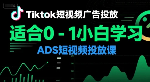 【精】Tiktok短视频广告投放，适合0-1小白学习ADS短视频投放课-项目资料商城