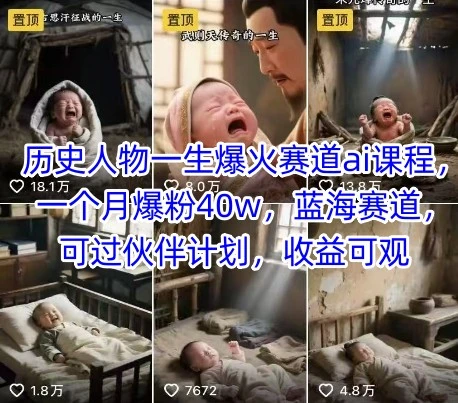 【精】历史人物一生爆火赛道ai课程，一个月爆粉40w，蓝海赛道，可过伙伴计划，收益可观-项目资料商城