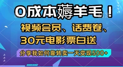 0成本薅羊毛!视频会员、话费卷、30元电影票白送，分享我如何靠转卖一天变现5张+【揭秘】-项目资料商城