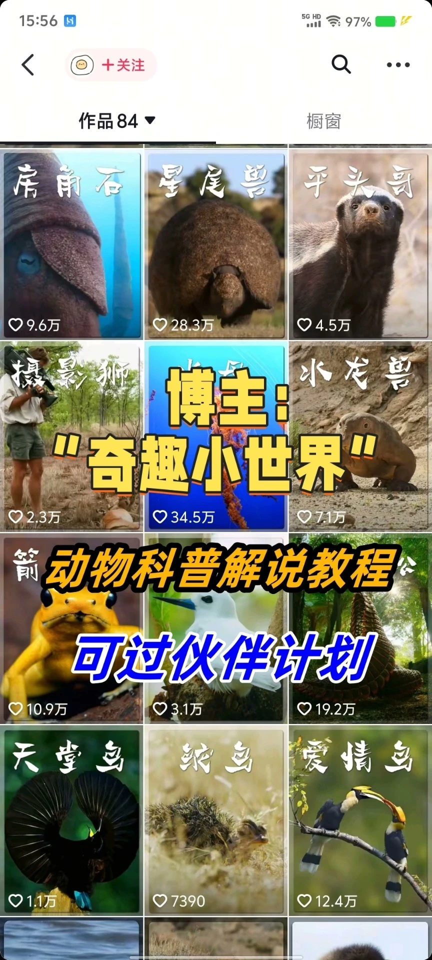 【精】奇趣小世界dy大v博主课程动物百科解说教程剪辑实操视频原创文案思路讲解-项目资料商城