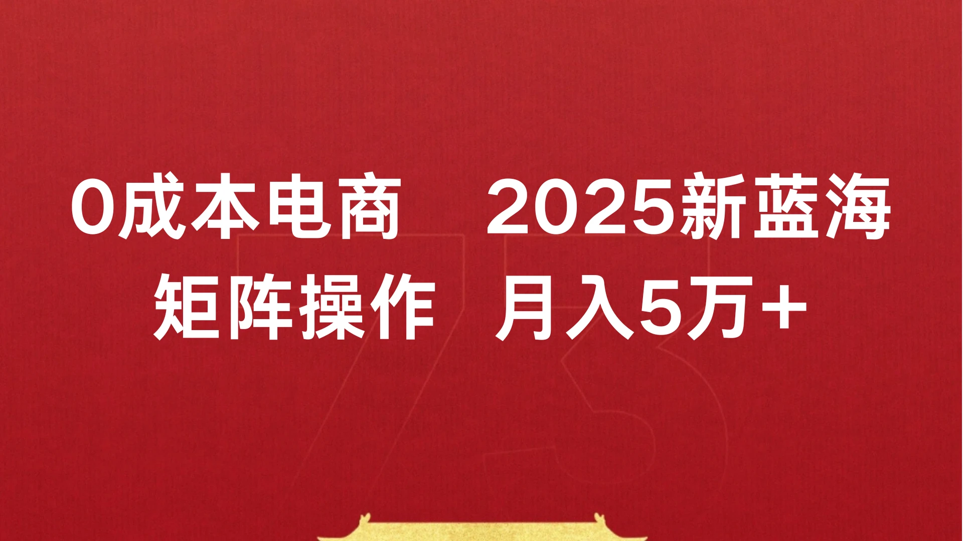 0成本电商，2025新蓝海，矩阵操作 月入5万+-项目资料商城