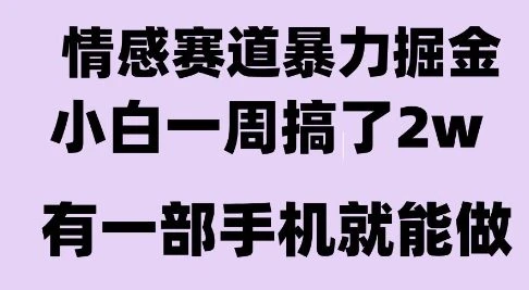 情感暴力掘金项目，新人操作一周挣了2W，长期稳定小白可做【揭秘】-项目资料商城