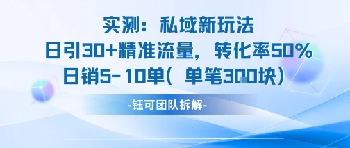 实测私域新玩法日引30加精准流量转化率50%日销5-10单每笔3张-项目资料商城