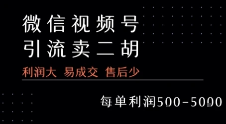 视频号卖二胡教程，利润大 易成交 售后少，一单利润5张+-项目资料商城