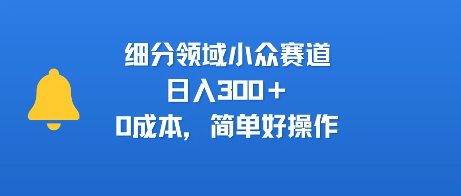 细分领域小众赛道，日入300＋，0成本，简单好操作-项目资料商城