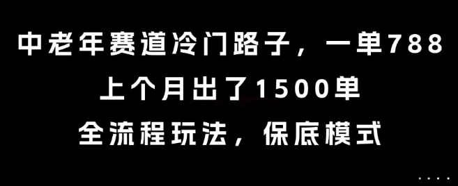 中老年赛道冷门路子，一单788，上个月出了1500单，全流程玩法，保底模式【揭秘】-项目资料商城