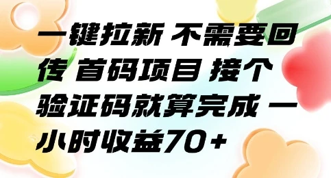 一键拉新 不需要回传 首码项目 接个验证码就算完成 一小时收益70+【揭秘】-项目资料商城