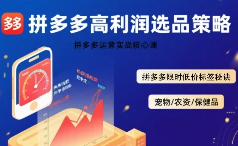 【精】拼多多选品暴利技术实战课，拼多多高利润选品策略，拼多多限时低价标签秘诀-项目资料商城