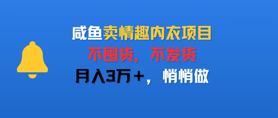 咸鱼卖情趣内衣项目，不囤货，不发货，月入3万＋，悄悄做-项目资料商城