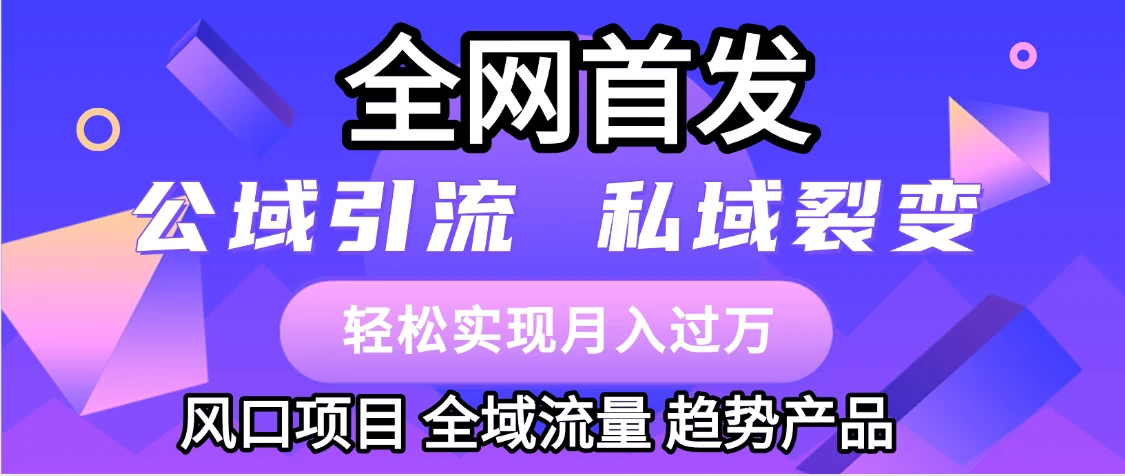 全网首发：公域引流，私域引流，风口项目，全域流量，趋势产品，轻松变现-项目资料商城