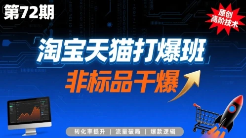 【精】淘宝天猫打爆班原创高阶技术第72期，非标品干爆-项目资料商城