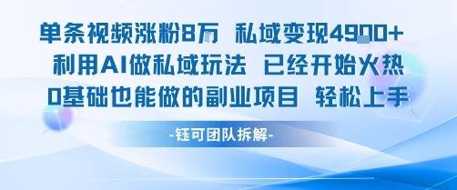 单条视频私域变现4.9k+利用AI做私域玩法 已经开始火热0基础也能做的副业项目轻松上手-项目资料商城